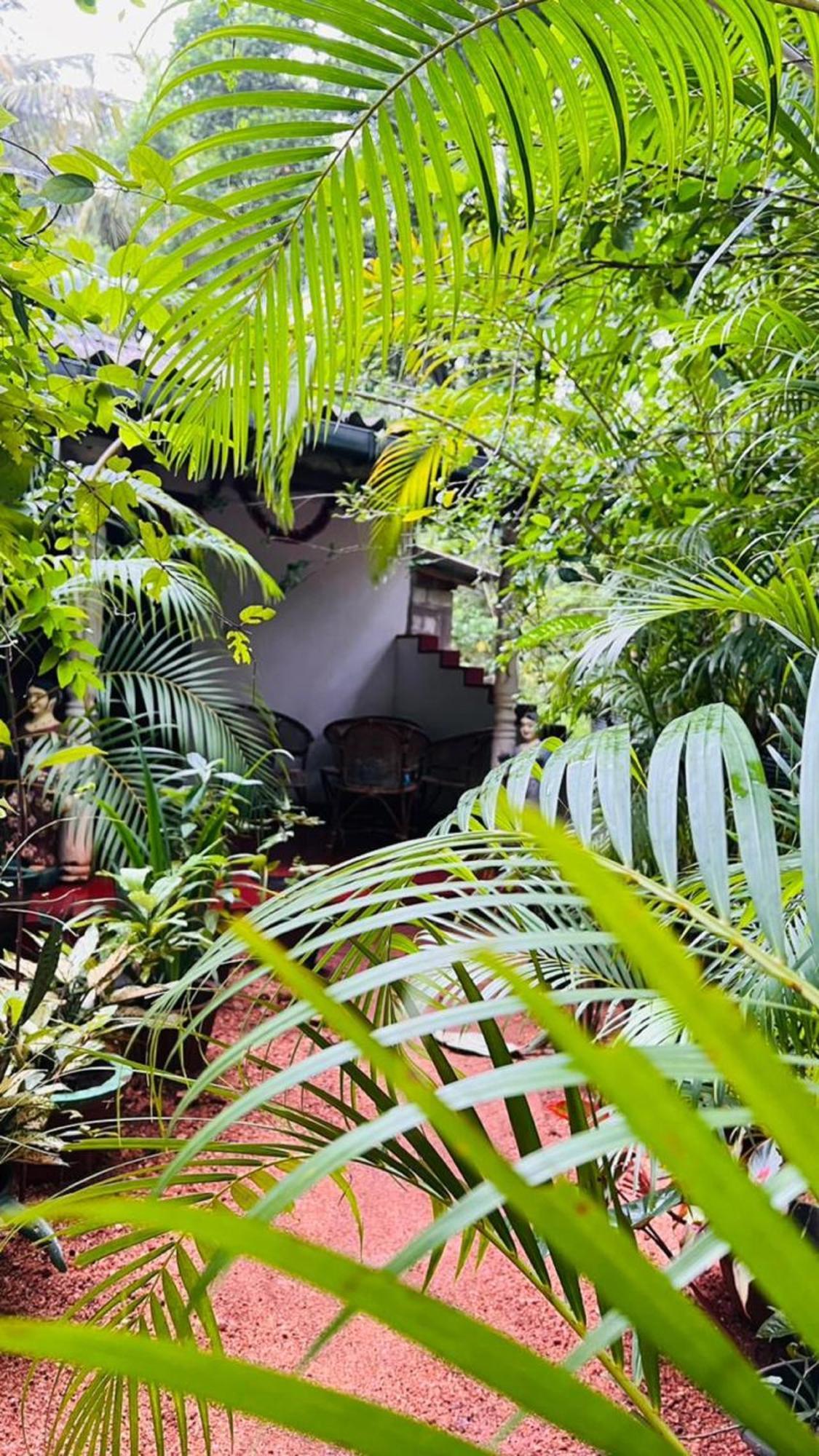 Sigiri Kp Family Home Sigiriya Exterior foto